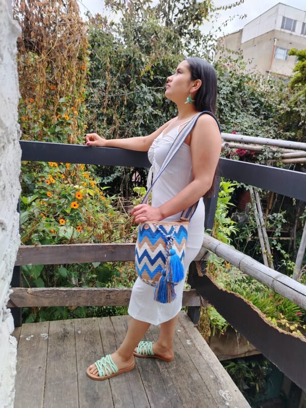 IMG_20250706_110505 Begonia Wayuu Bag