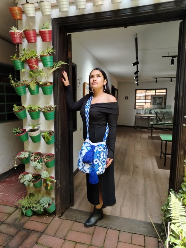 IMG_20250706_115353 Passionflow Wayuu Bag